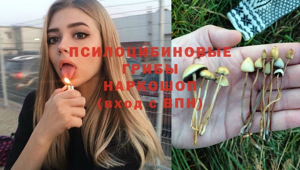 экстази Богородицк